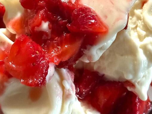 Quest Vanilla Quest Vanilla